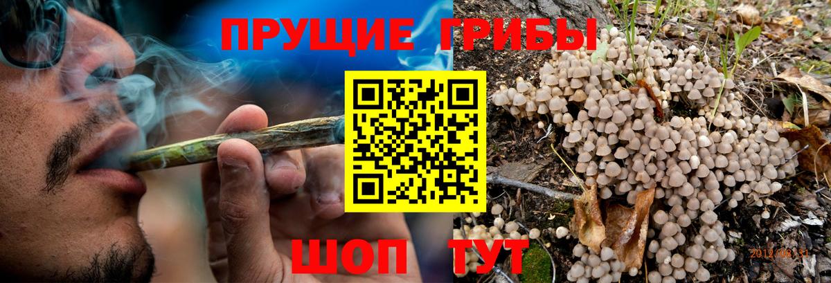 Псилоцибиновые грибы GOLDEN TEACHER  Галлюциногенные грибы ЛСД  Вход с VPN  Омск 